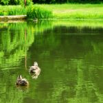 令和7年　保護者様評価、職員評価