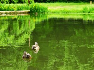 令和7年　保護者様評価、職員評価